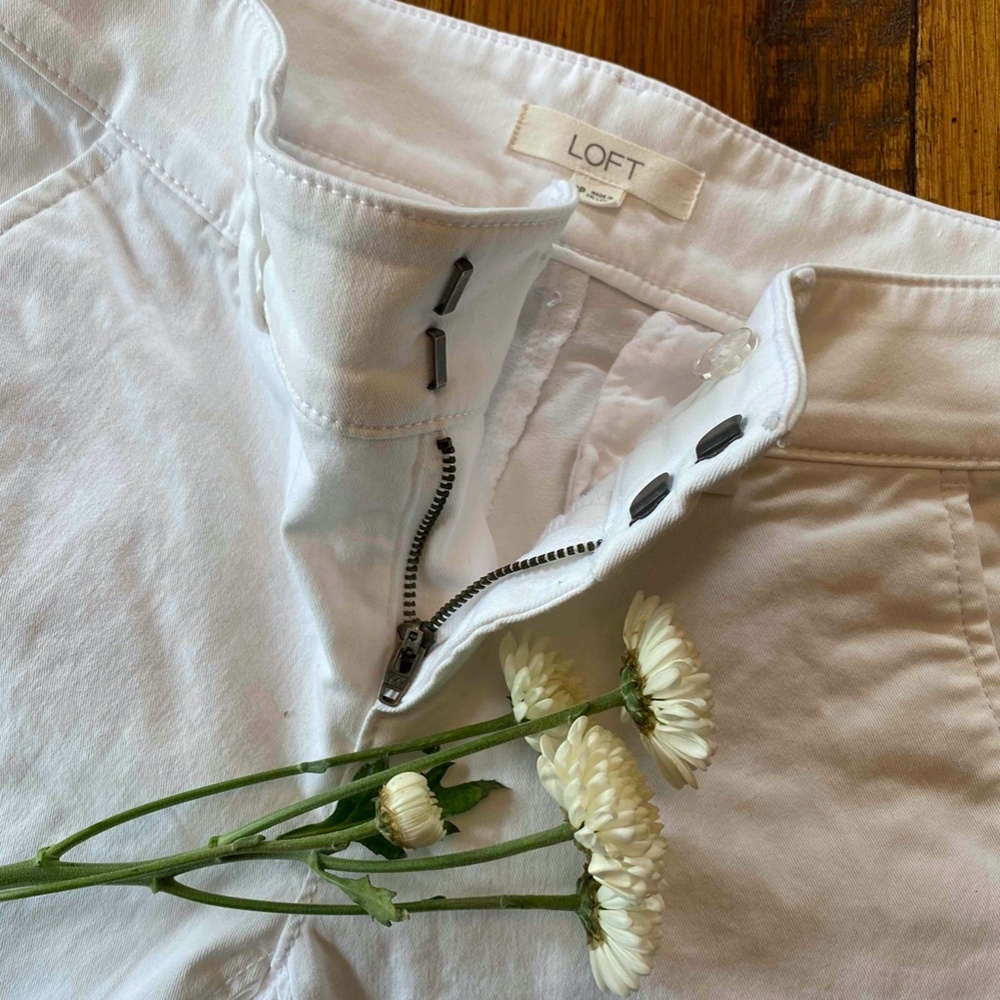 Petite Women's Loft Pants